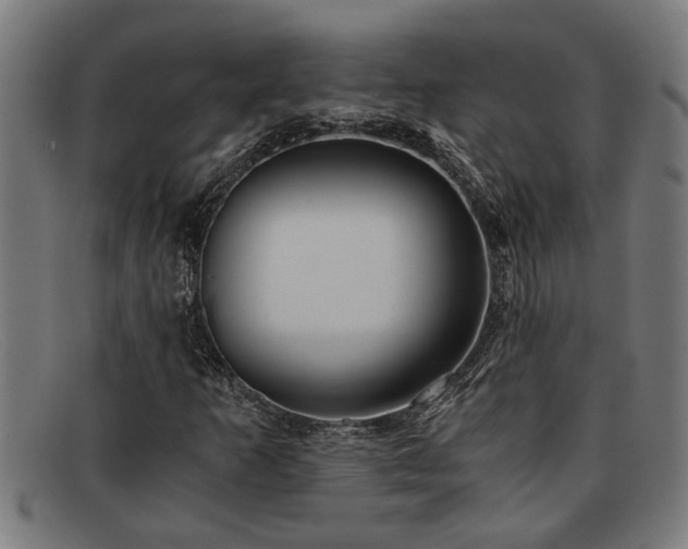 X0000091881253200709121407