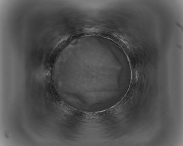 X0000091881254200709121407