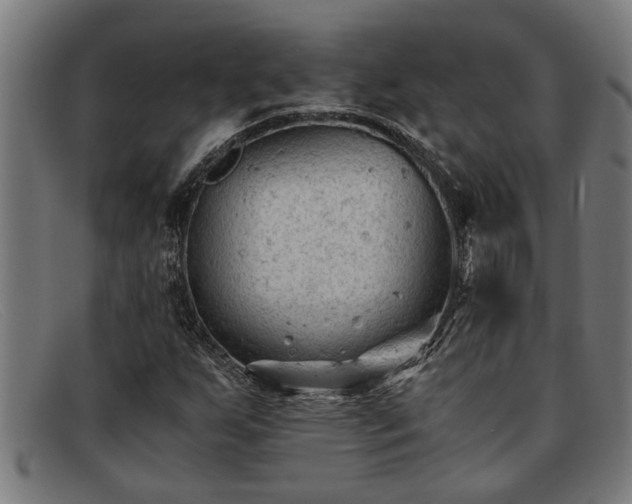 X0000091881255200709121407
