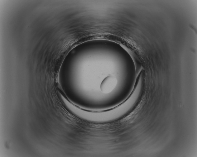 X0000091881257200709121407