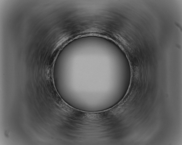 X0000091881258200709121407