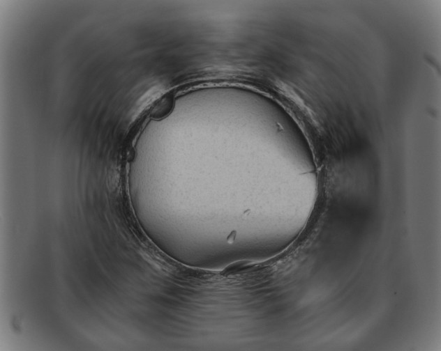 X0000091881259200709121407