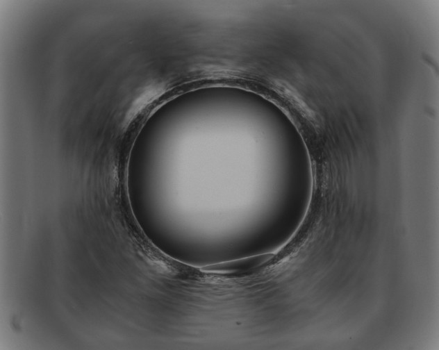 X0000091881261200709121407