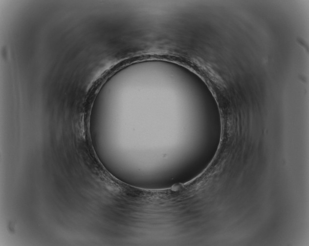 X0000091881262200709121407