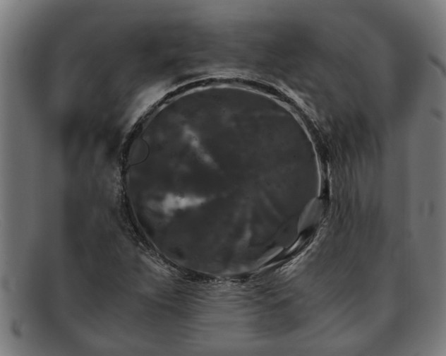 X0000091881263200709121407