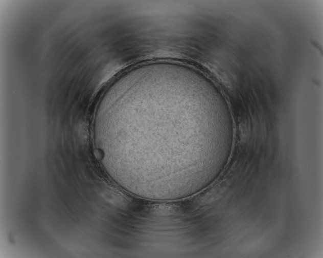 X0000091881266200709121406