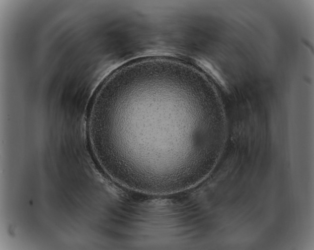 X0000091881268200709121406