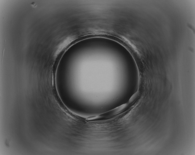 X0000091881269200709121406