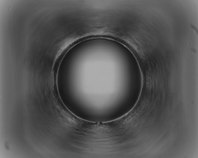 X0000091881270200709121406