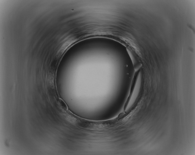 X0000091881273200709121406