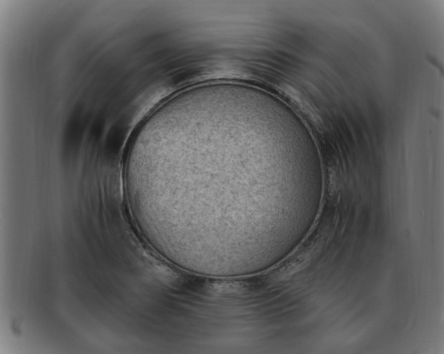 X0000091881274200709121406