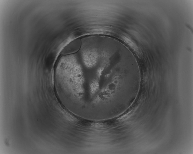 X0000091881275200709121406