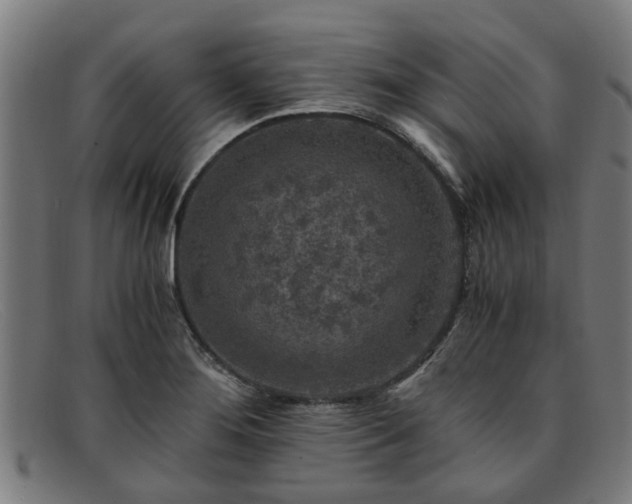 X0000091881276200709121406