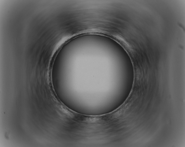 X0000091881278200709121406