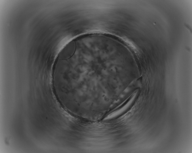 X0000091881279200709121406