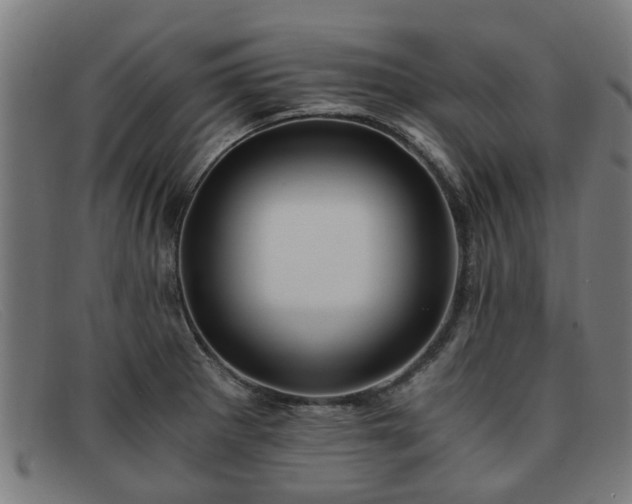 X0000091881281200709121406