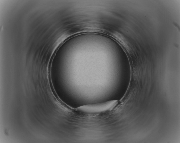 X0000091881283200709121406