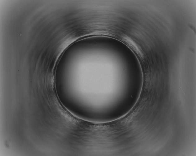 X0000091881284200709121406