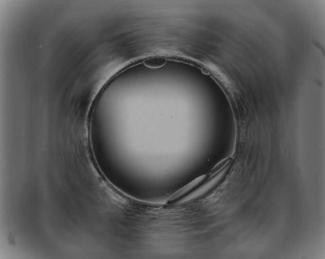 X0000091881287200709121406