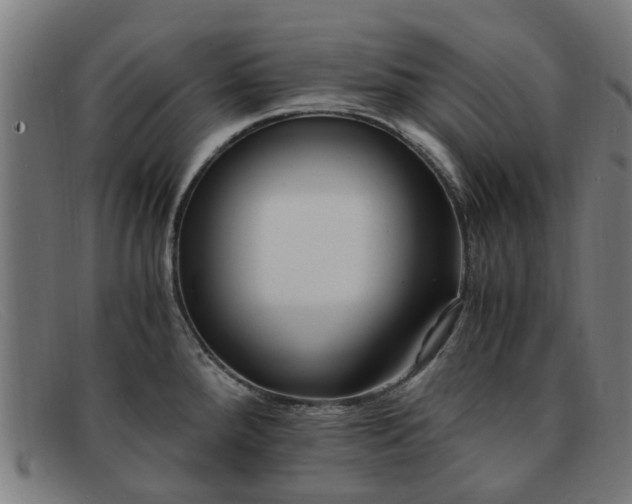 X0000091881288200709121406
