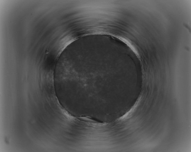 X0000091881289200709121406