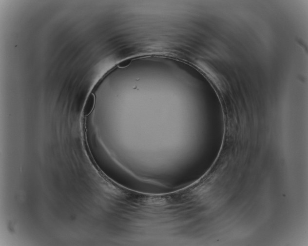 X0000091881291200709121406