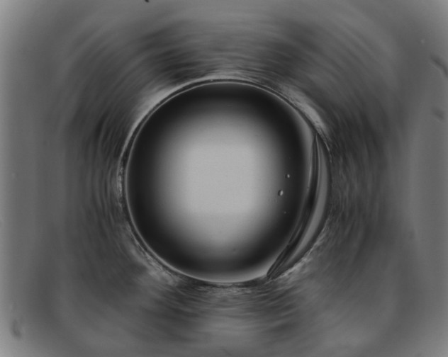 X0000091881292200709121406