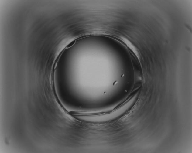 X0000091881293200709121406