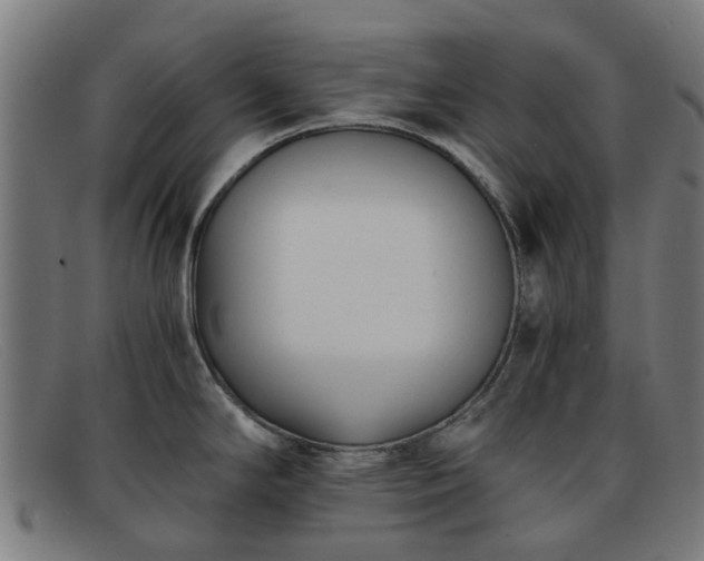 X0000091881294200709121406
