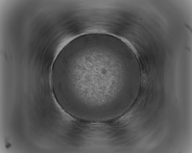 X0000091881295200709121406