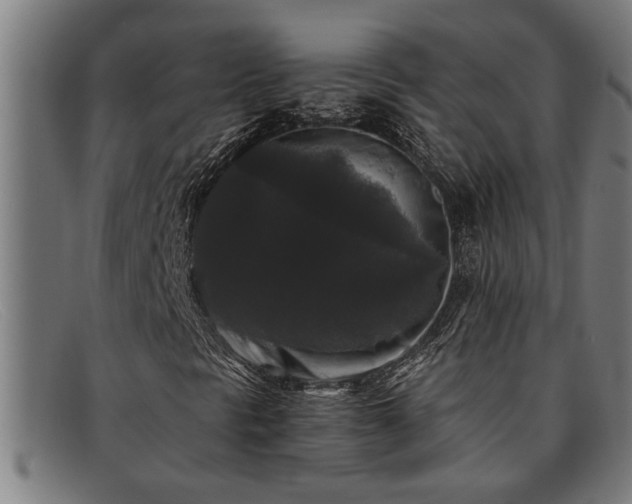 X0000091881297200709121406