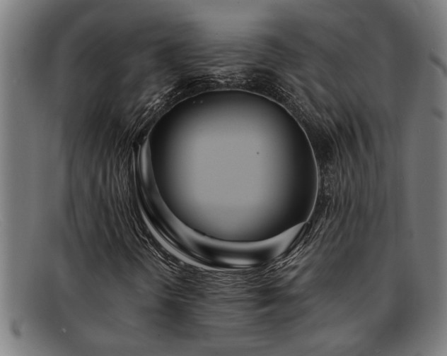 X0000091881298200709121406