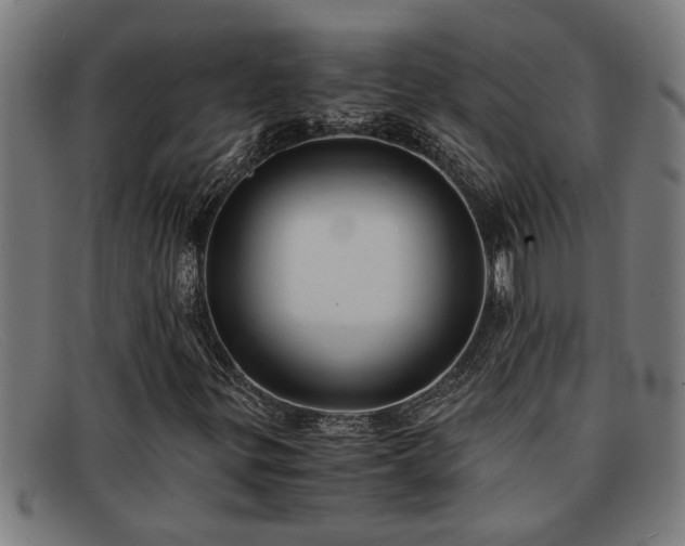 X0000091881299200709121406