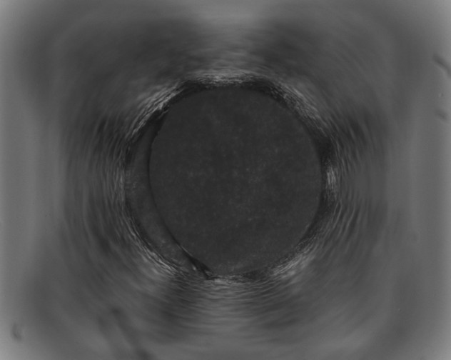 X0000091881300200709121406