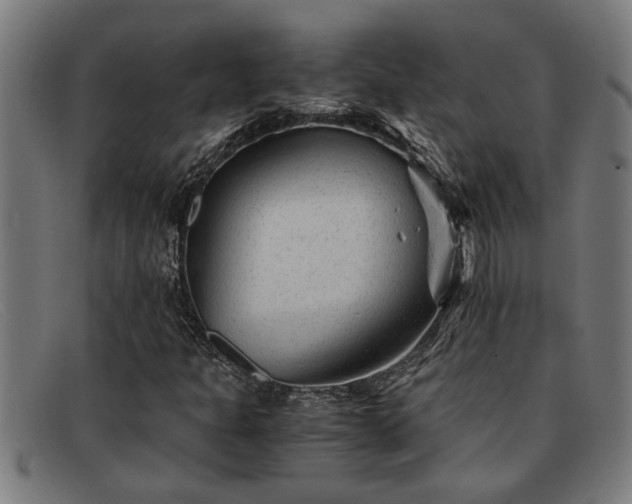 X0000091881301200709121406