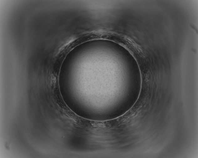 X0000091881302200709121406