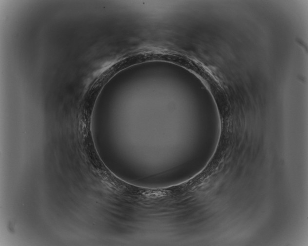 X0000091881303200709121406