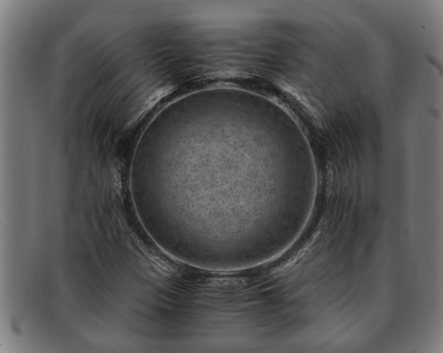 X0000091881305200709121406