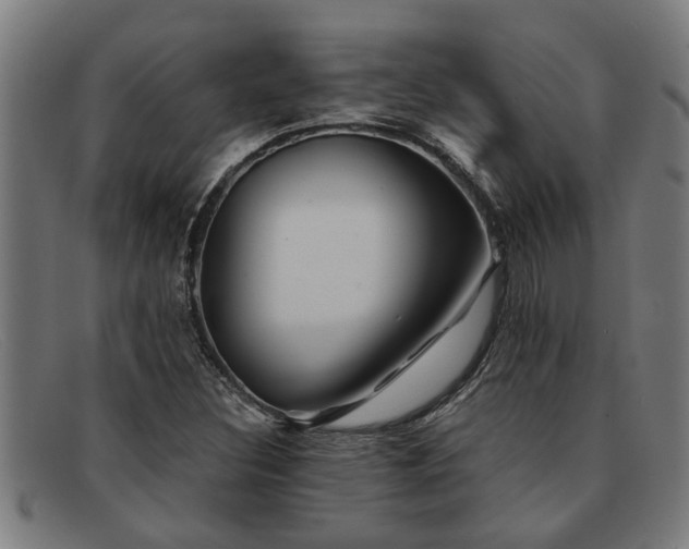 X0000091881308200709121406
