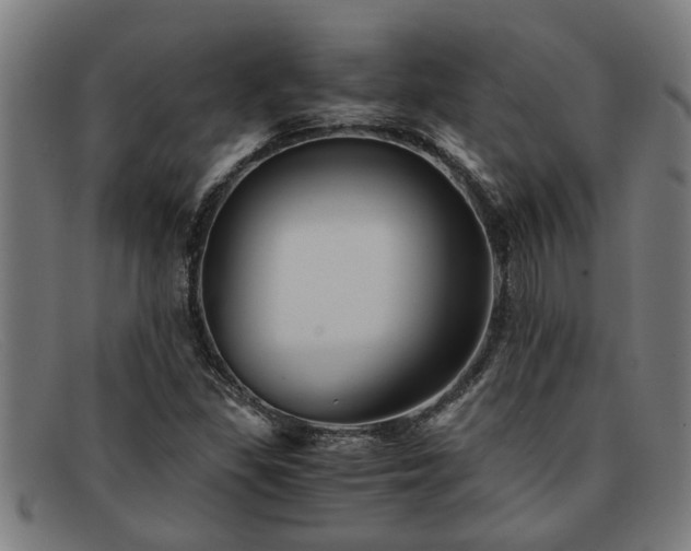 X0000091881309200709121406