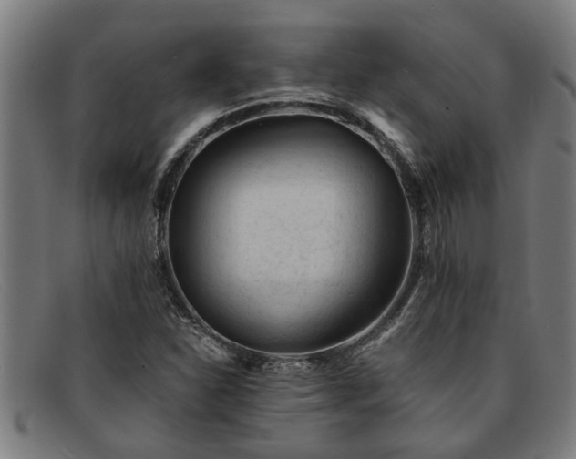X0000091881310200709121406
