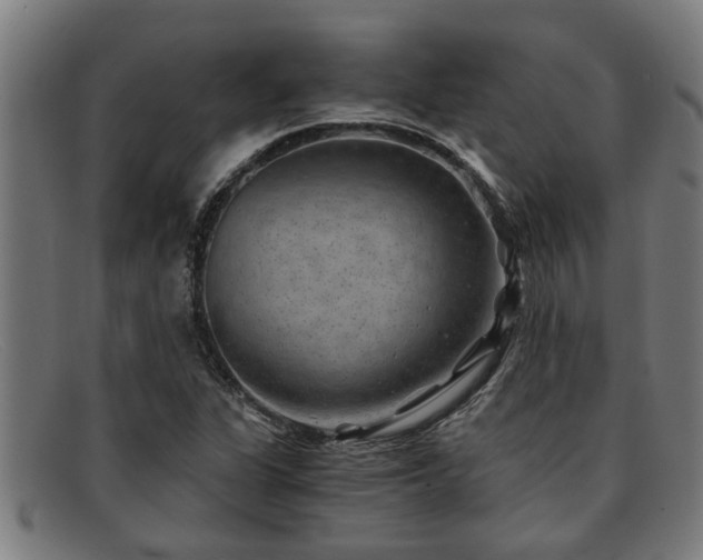 X0000091881311200709121406