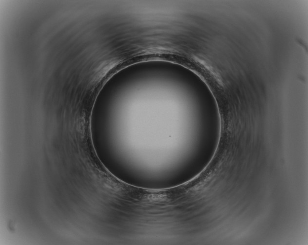 X0000091881313200709121406