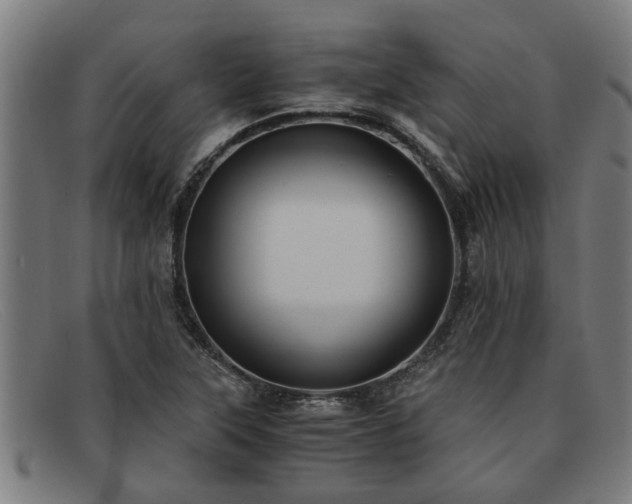 X0000091881315200709121406
