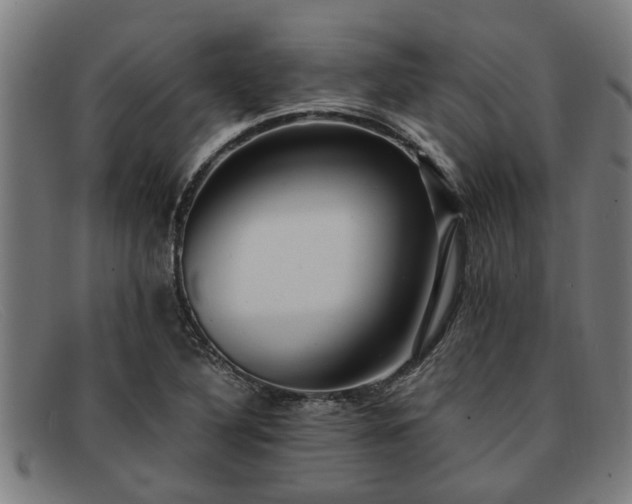 X0000091881316200709121406