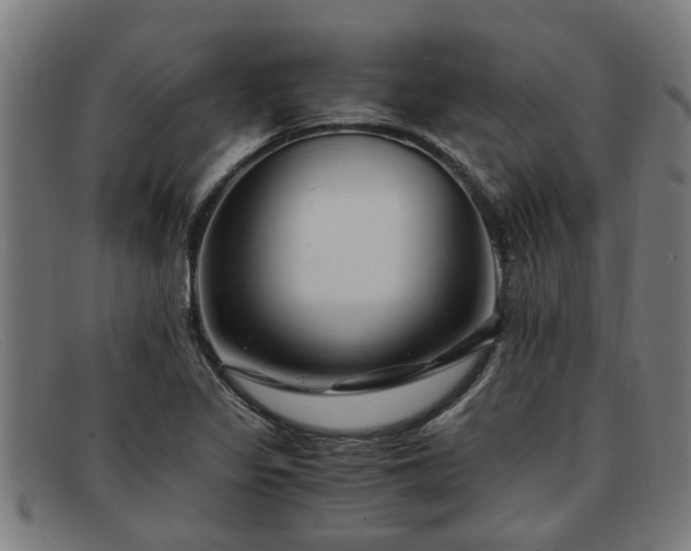 X0000091881317200709121406