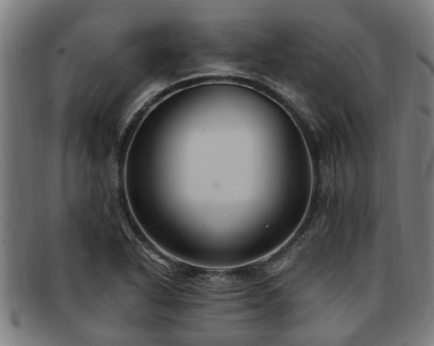 X0000091881318200709121406