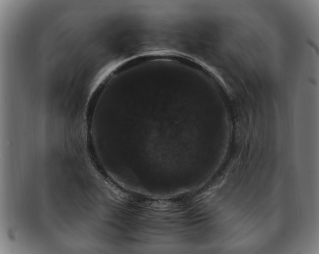 X0000091881319200709121406