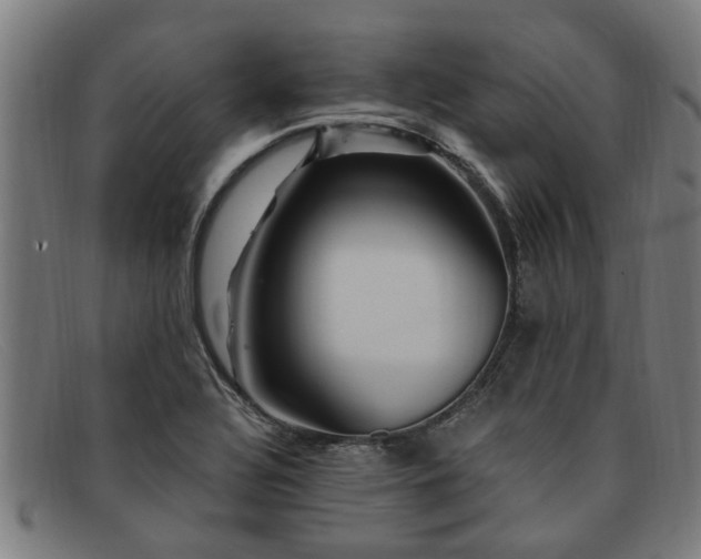 X0000091881320200709121406
