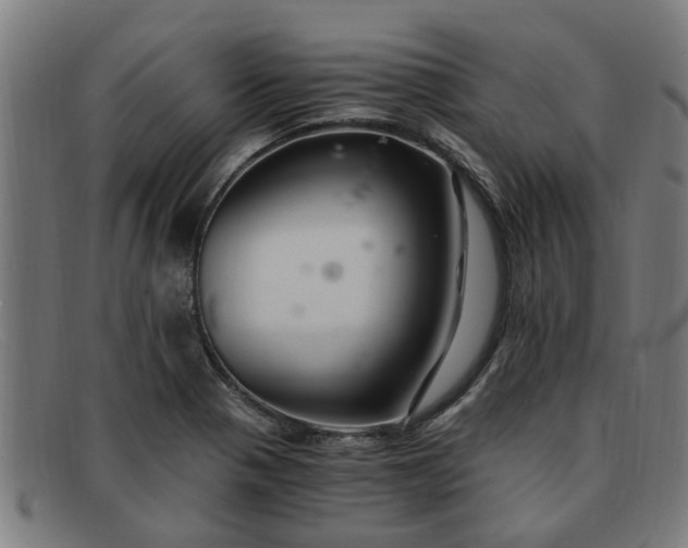 X0000091881321200709121406